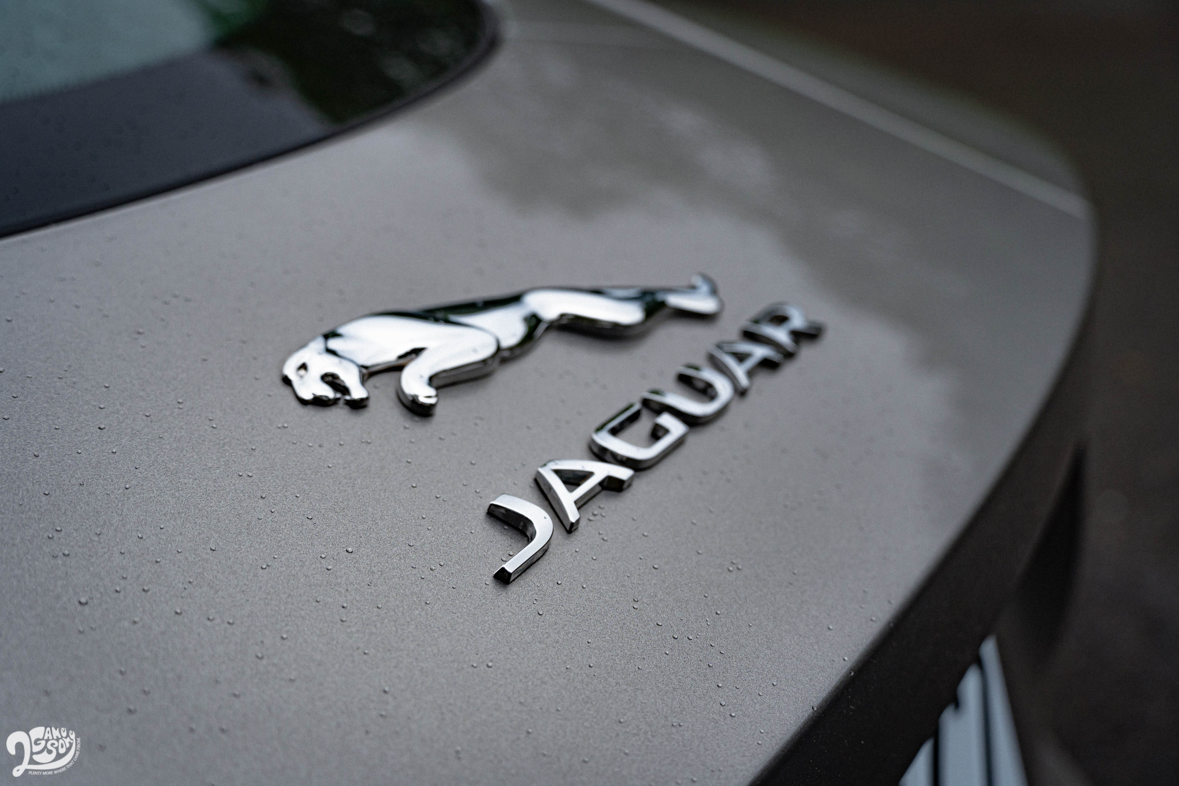 偌大的美洲豹與品牌字樣,點出 F-Type 的血統驕傲。