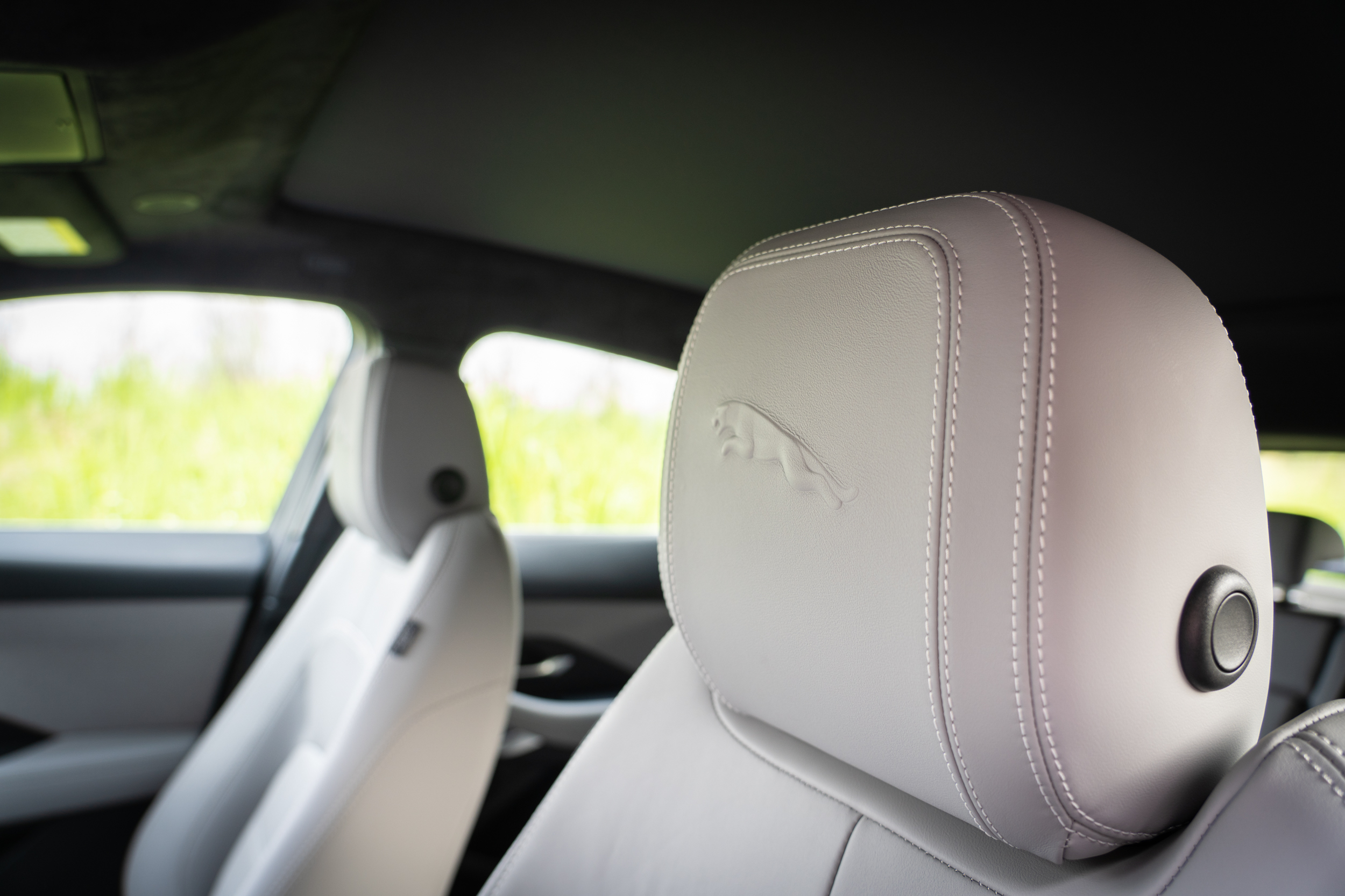 頭枕上的美洲豹浮雕相當具有特色。