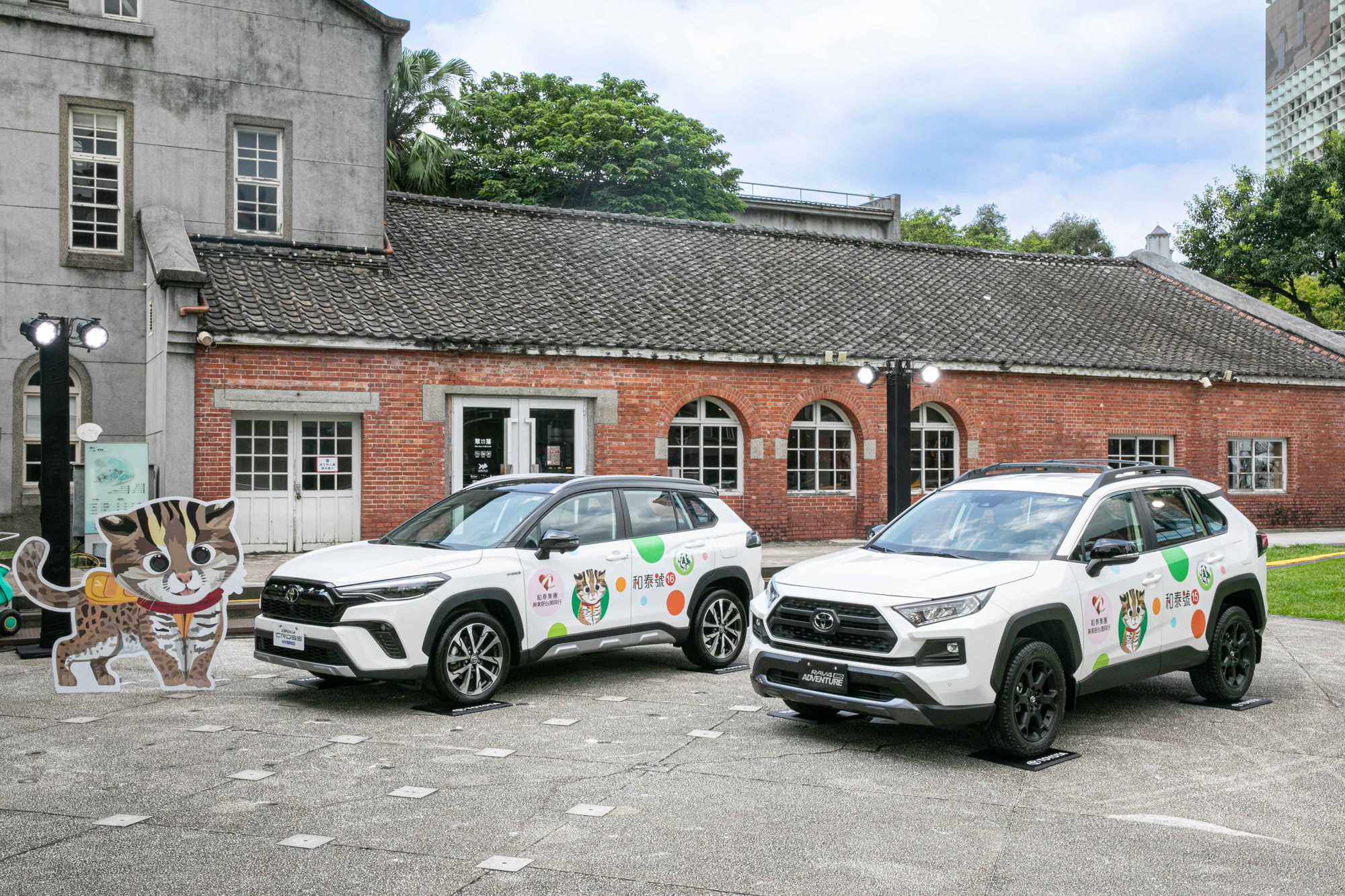 和泰集團台灣原生動物守護計畫包含四大面向(石虎救援、石虎移動安全、石虎野放訓練、石虎保育推廣),攜手行政院農委會特生中心守護石虎。