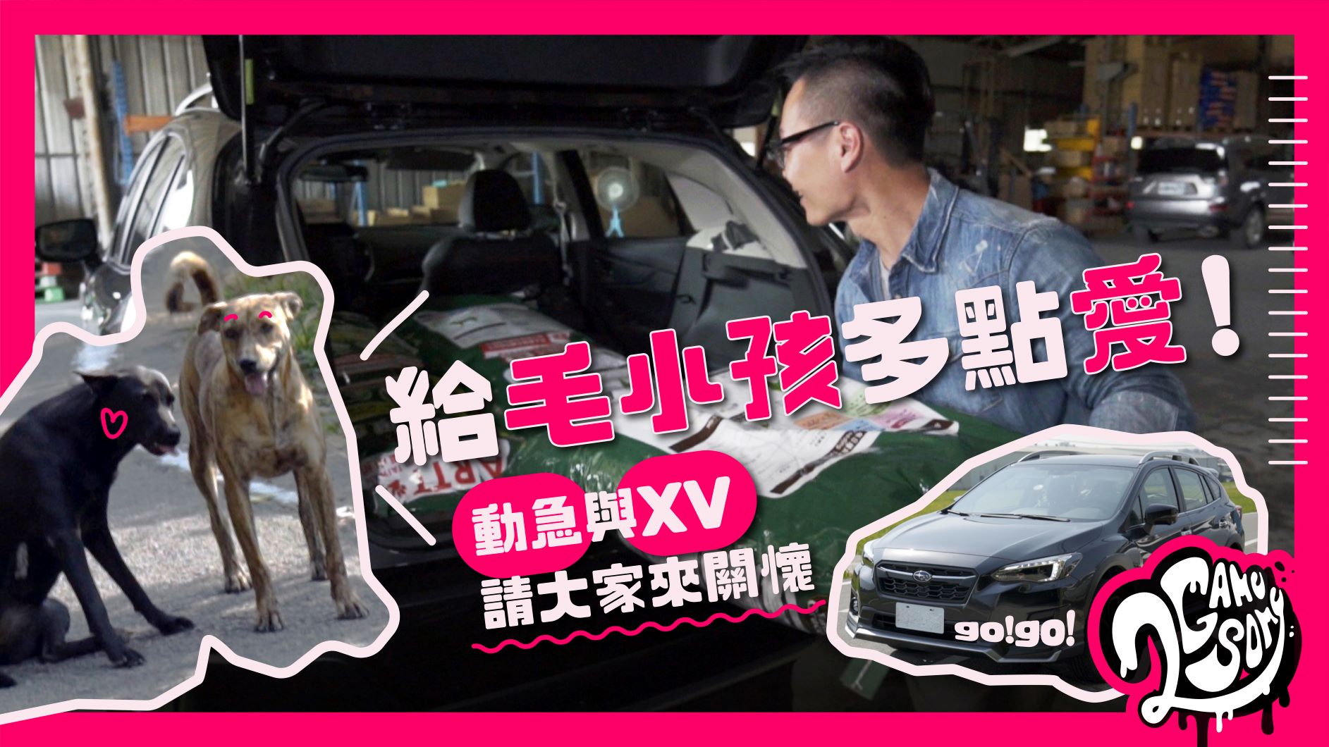 給毛小孩多點愛！台灣動物緊急救援小組 與 Subaru XV GT Edition 一起來關懷