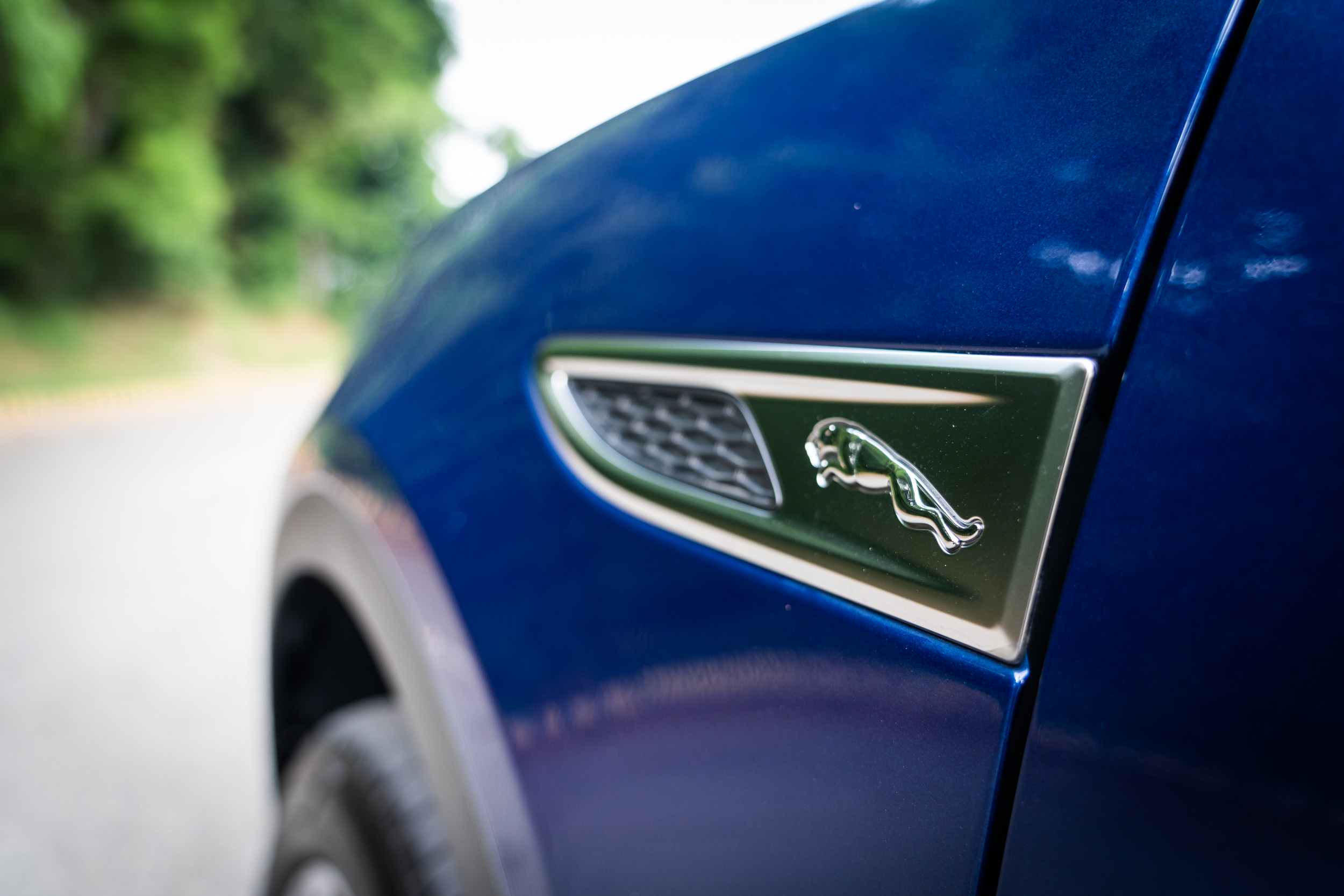 葉子板上的造型通風口。