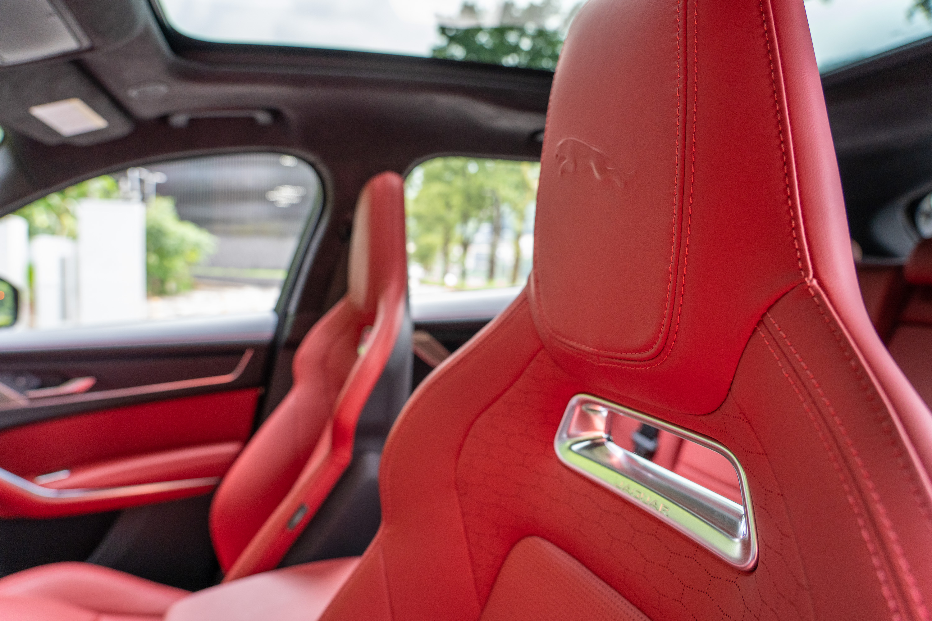 頭枕上有著美洲豹的立體浮雕。