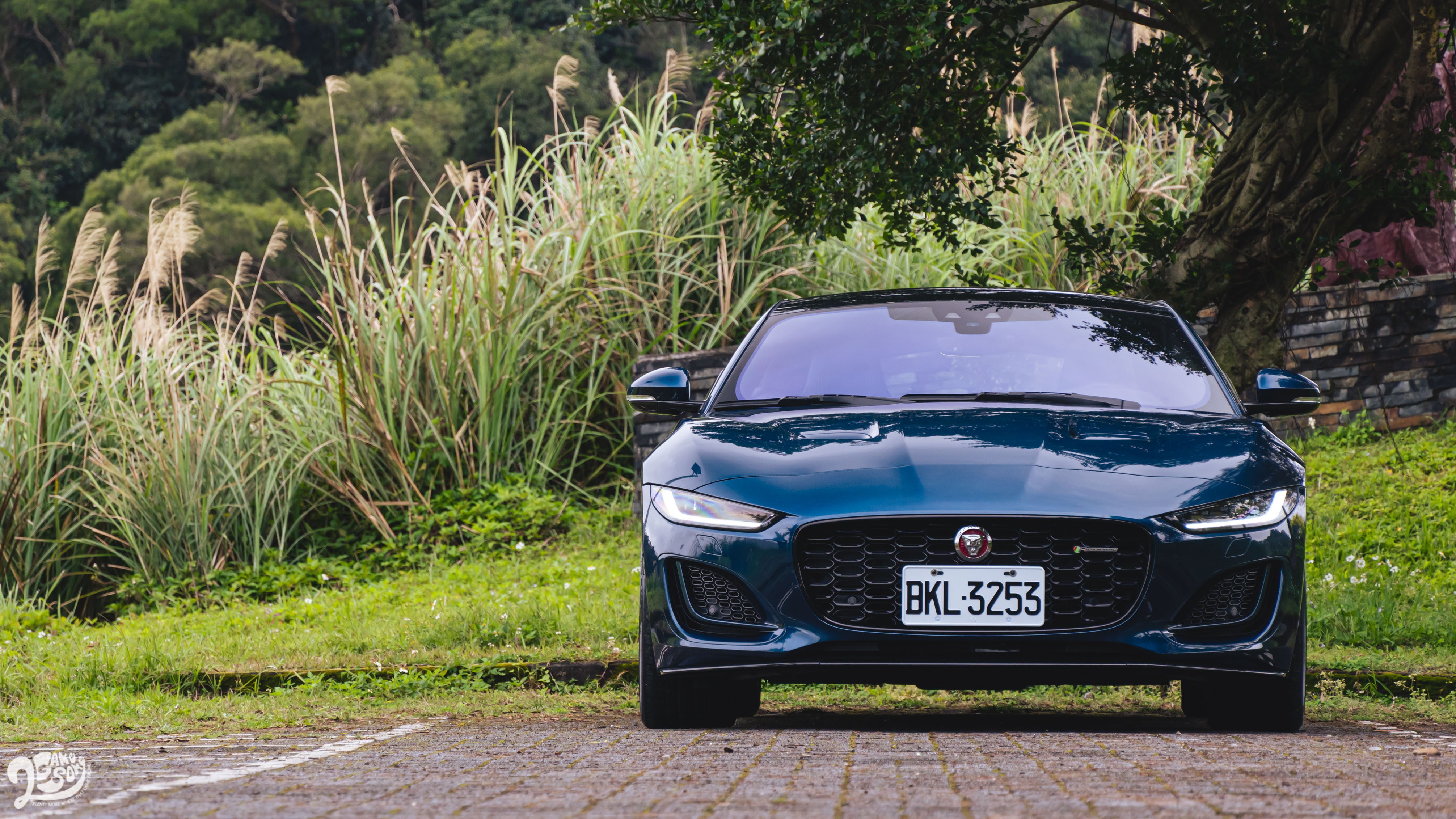 Jaguar F-Type P450 R-Dynamic 售價 486 萬元起。