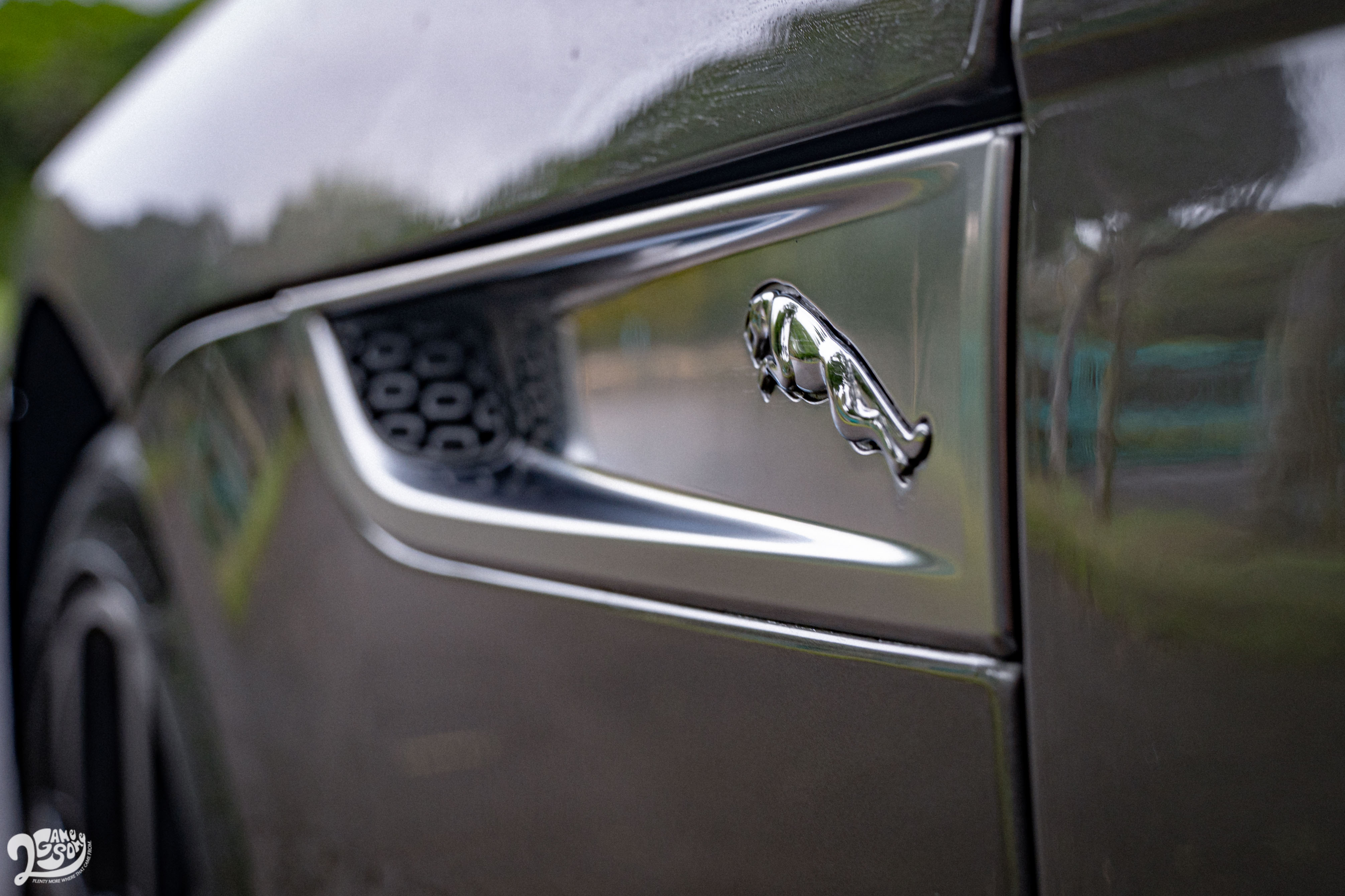 前葉子板的裝飾有著美洲豹的立體身影。