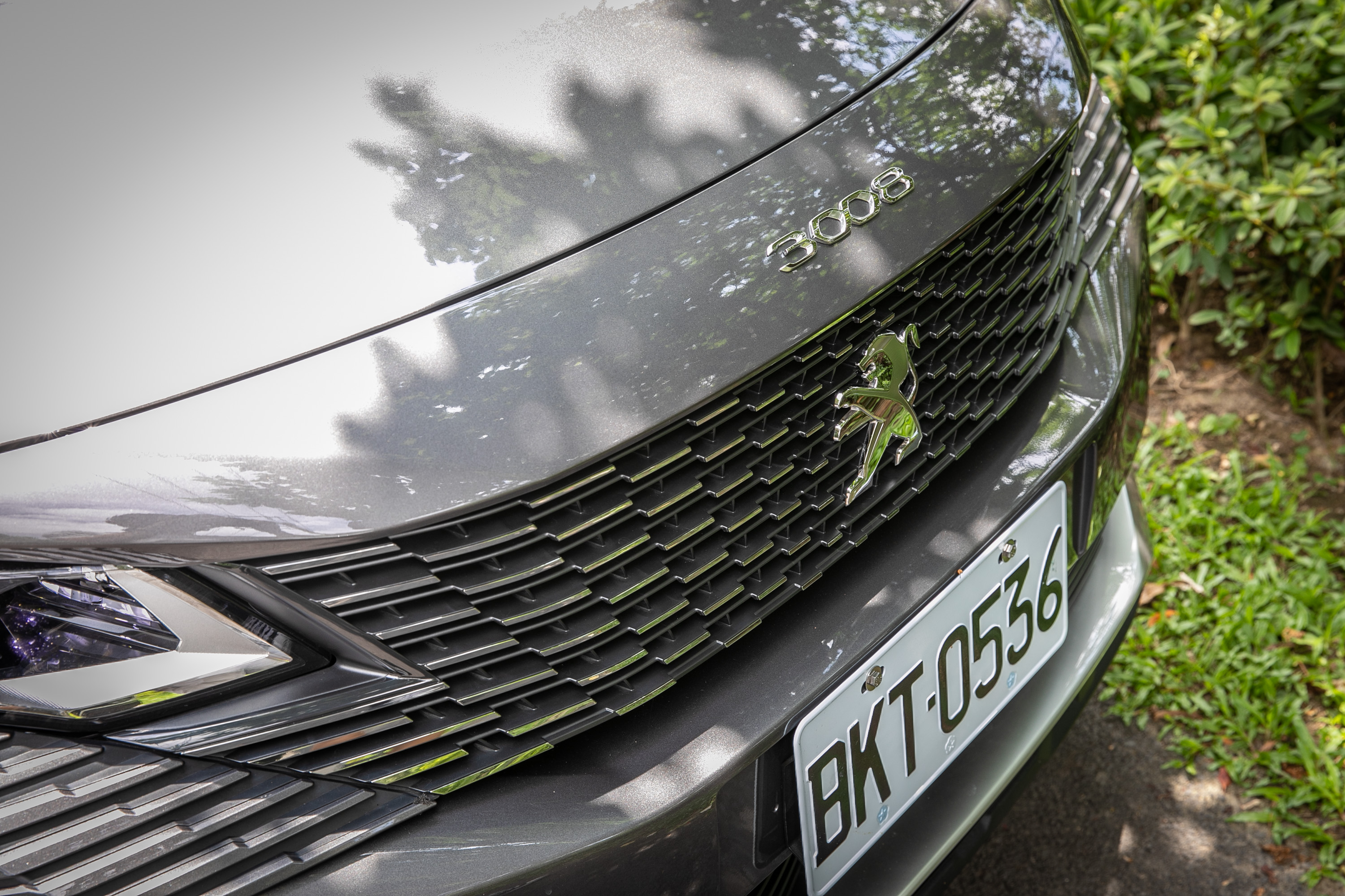 水箱護罩設計靈感源自於獅王鬃毛造型。