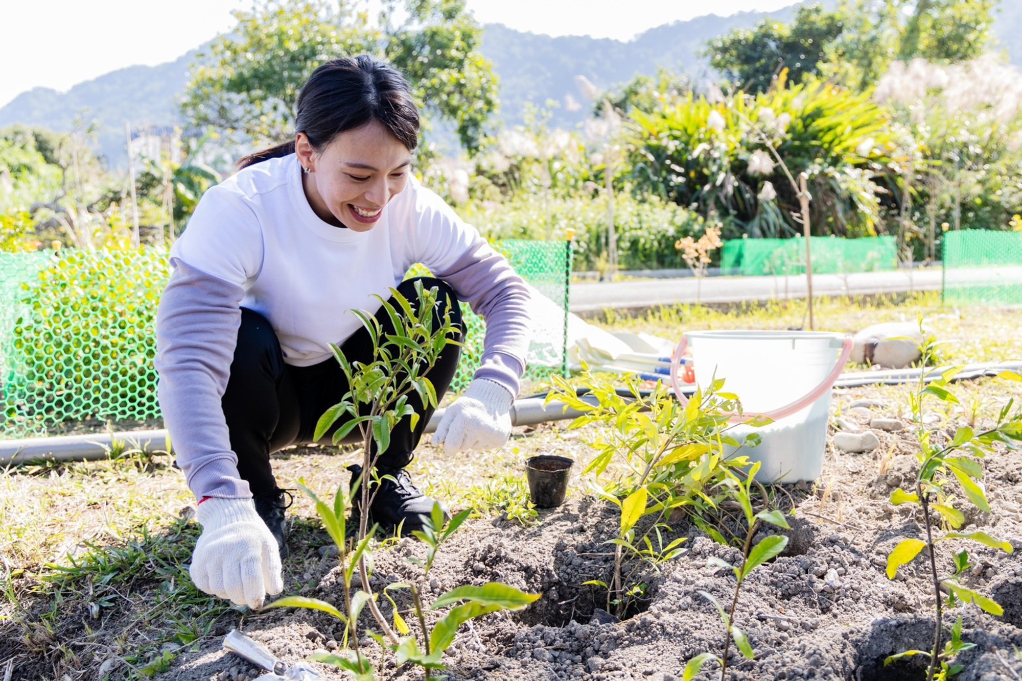 郭婞淳首次以車主身分參加TOYOTA一車一樹志工植樹活動。